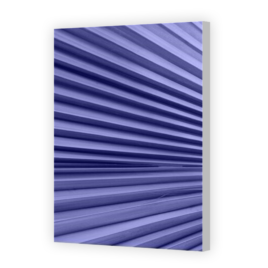 Thumbnail for Canvas - Coloured Canvas Wrap