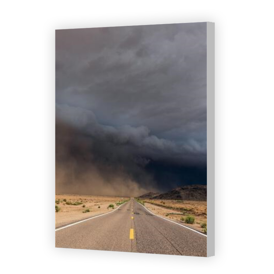 Thumbnail for Canvas - Coloured Canvas Wrap