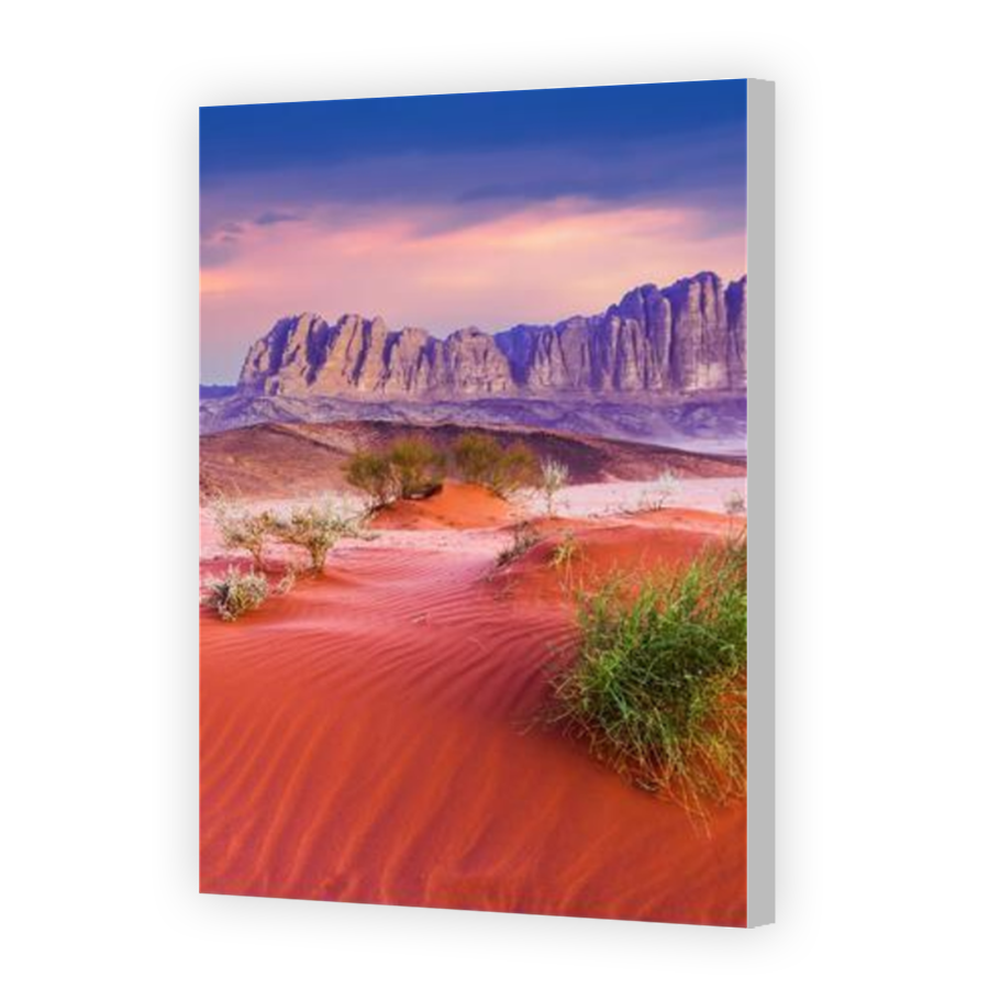 Thumbnail for Canvas - Coloured Canvas Wrap