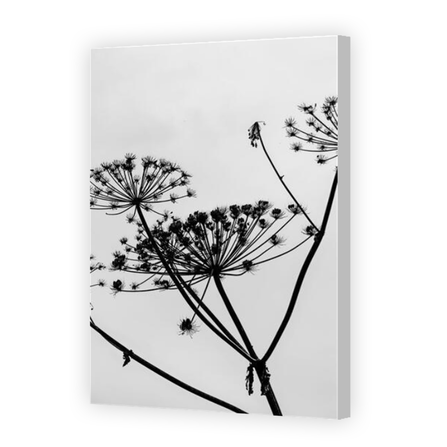 Thumbnail for Canvas - Coloured Canvas Wrap