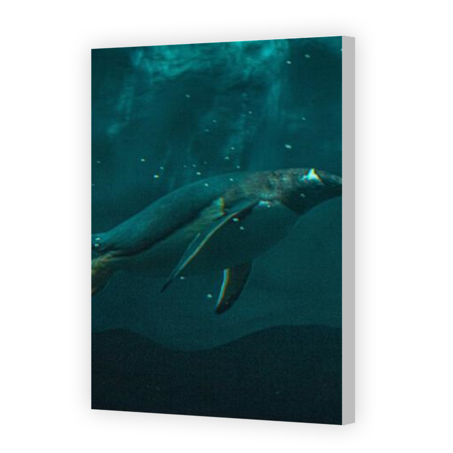 Thumbnail for Canvas - Coloured Canvas Wrap