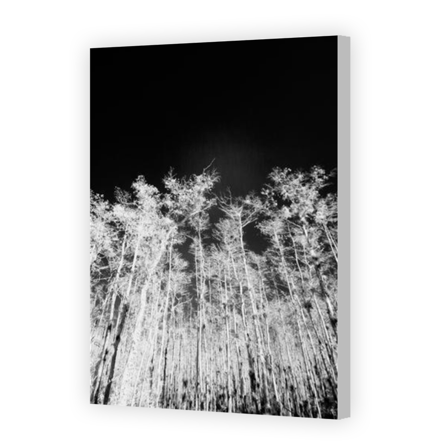 Thumbnail for Canvas - Coloured Canvas Wrap