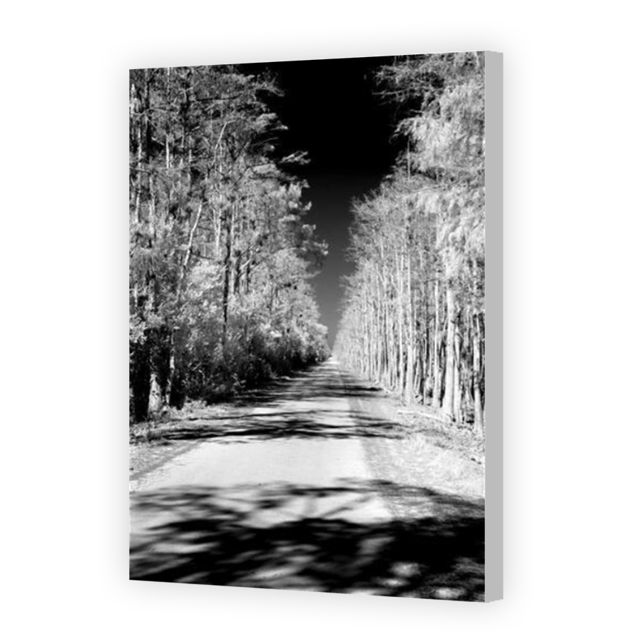 Thumbnail for Canvas - Coloured Canvas Wrap