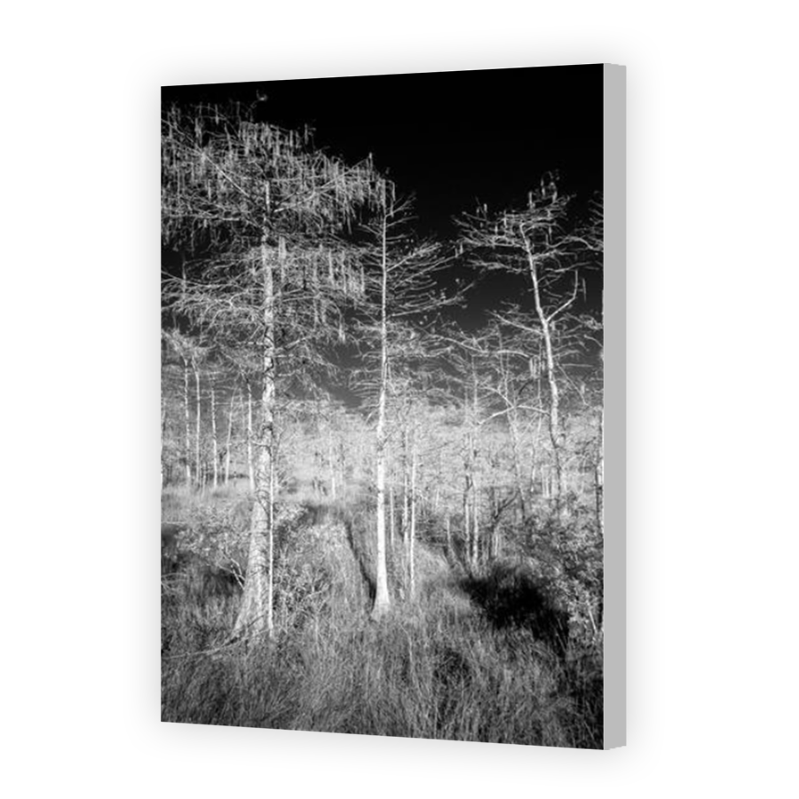 Thumbnail for Canvas - Coloured Canvas Wrap