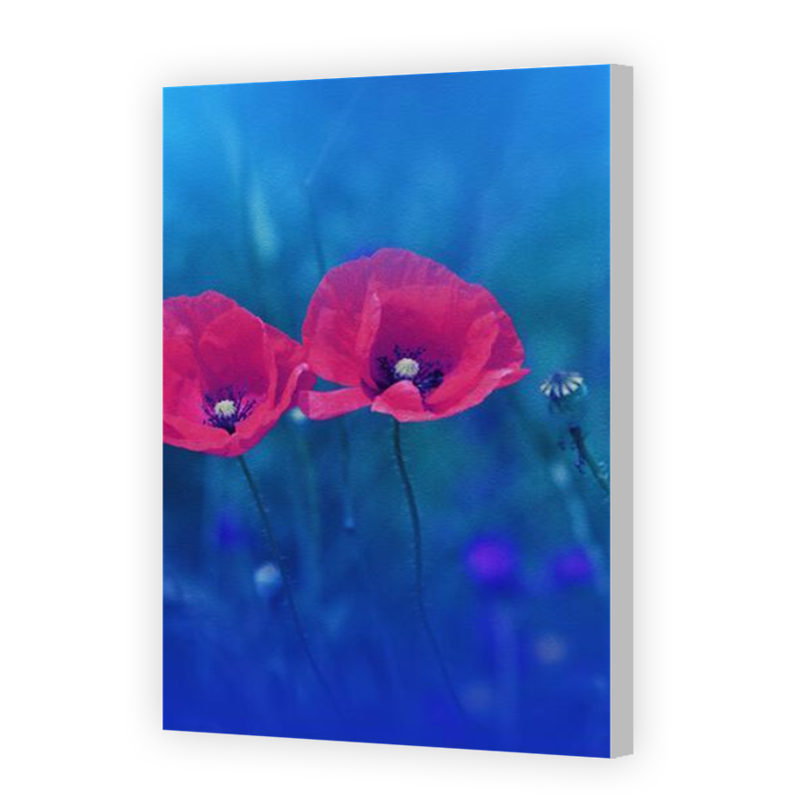 Thumbnail for Canvas - Coloured Canvas Wrap