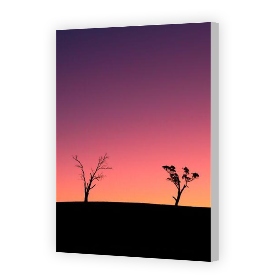 Thumbnail for Canvas - Coloured Canvas Wrap