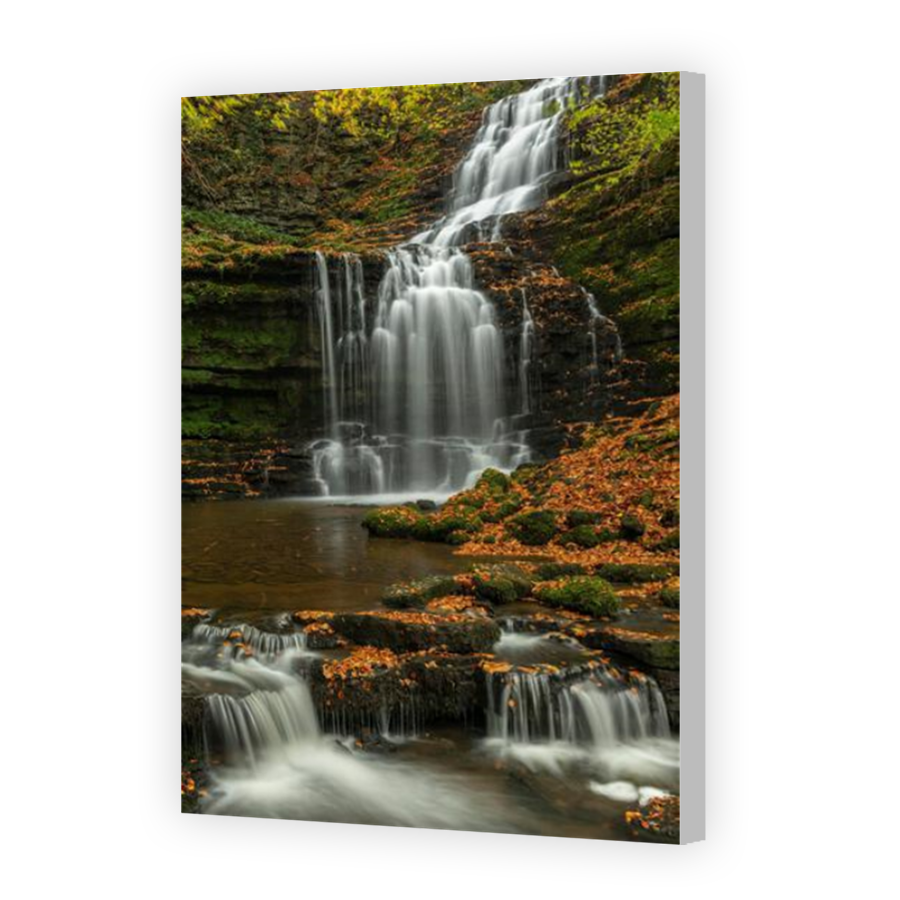 Thumbnail for Canvas - Coloured Canvas Wrap