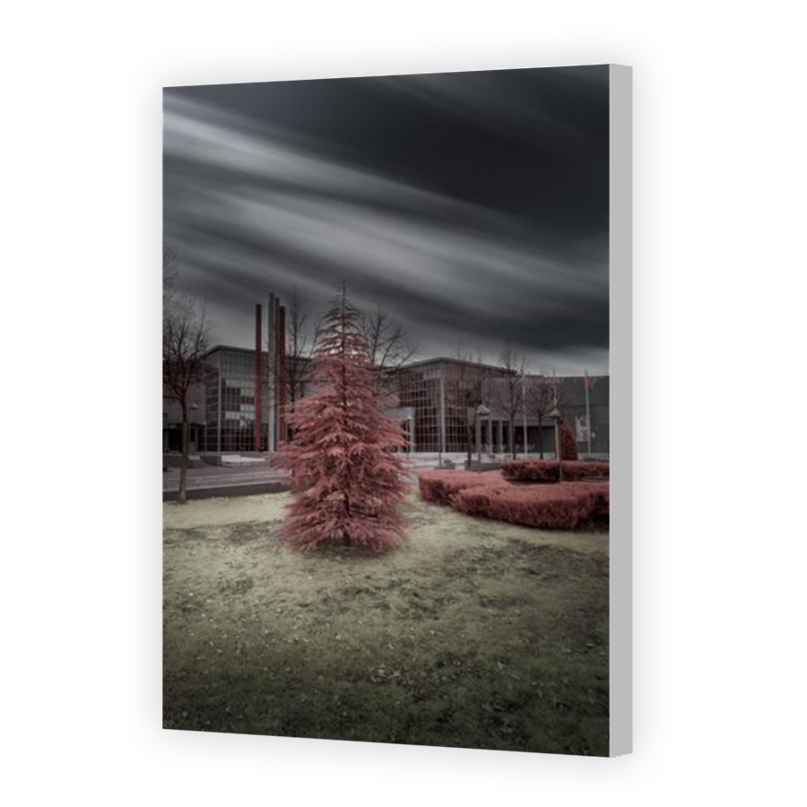 Thumbnail for Canvas - Coloured Canvas Wrap