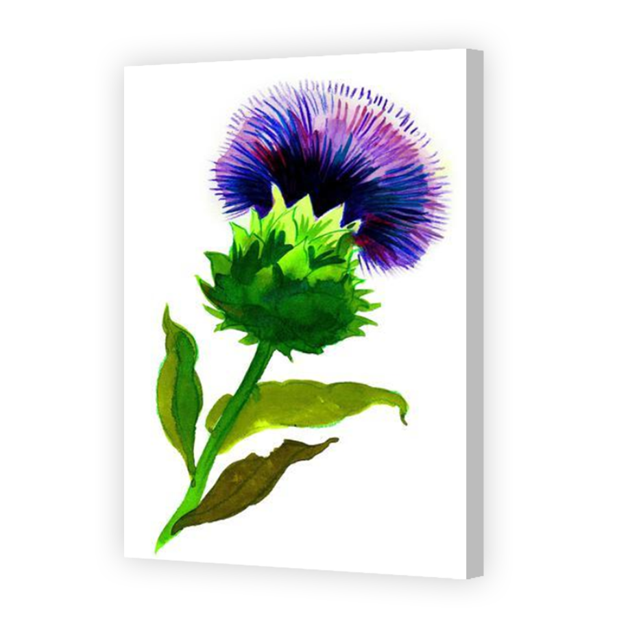 Thumbnail for Canvas - Coloured Canvas Wrap