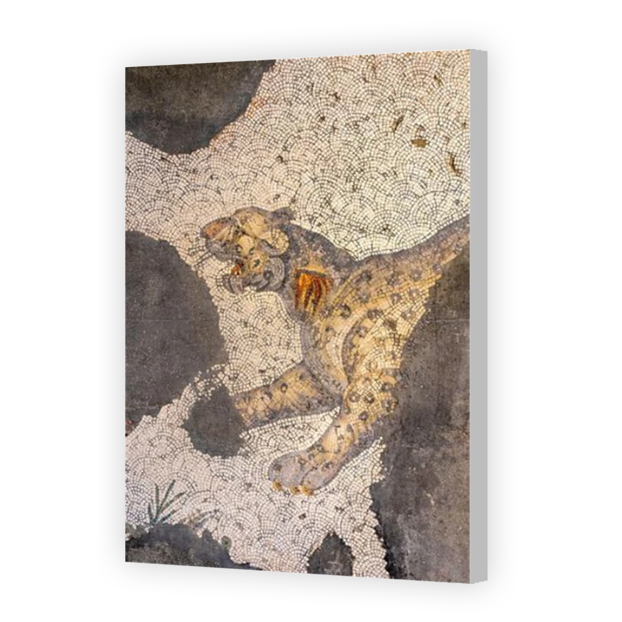 Thumbnail for Canvas - Coloured Canvas Wrap