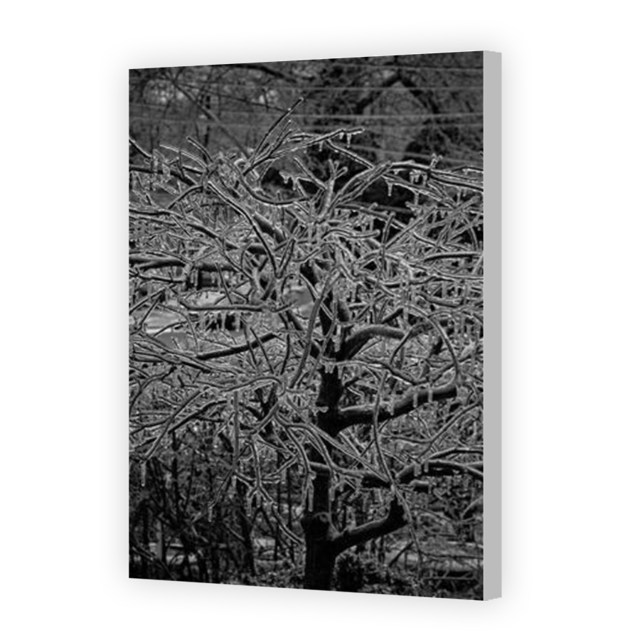 Thumbnail for Canvas - Coloured Canvas Wrap