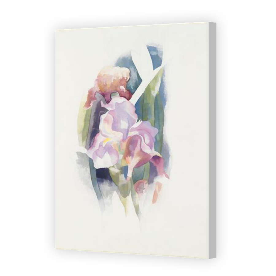Thumbnail for Canvas - Coloured Canvas Wrap