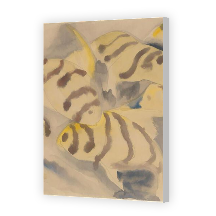 Thumbnail for Canvas - Coloured Canvas Wrap