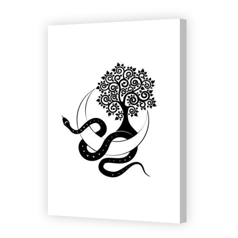 Thumbnail for Canvas - Coloured Canvas Wrap