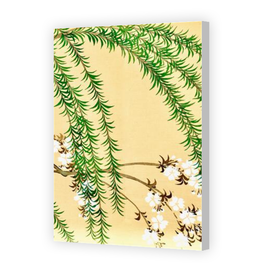 Thumbnail for Canvas - Coloured Canvas Wrap