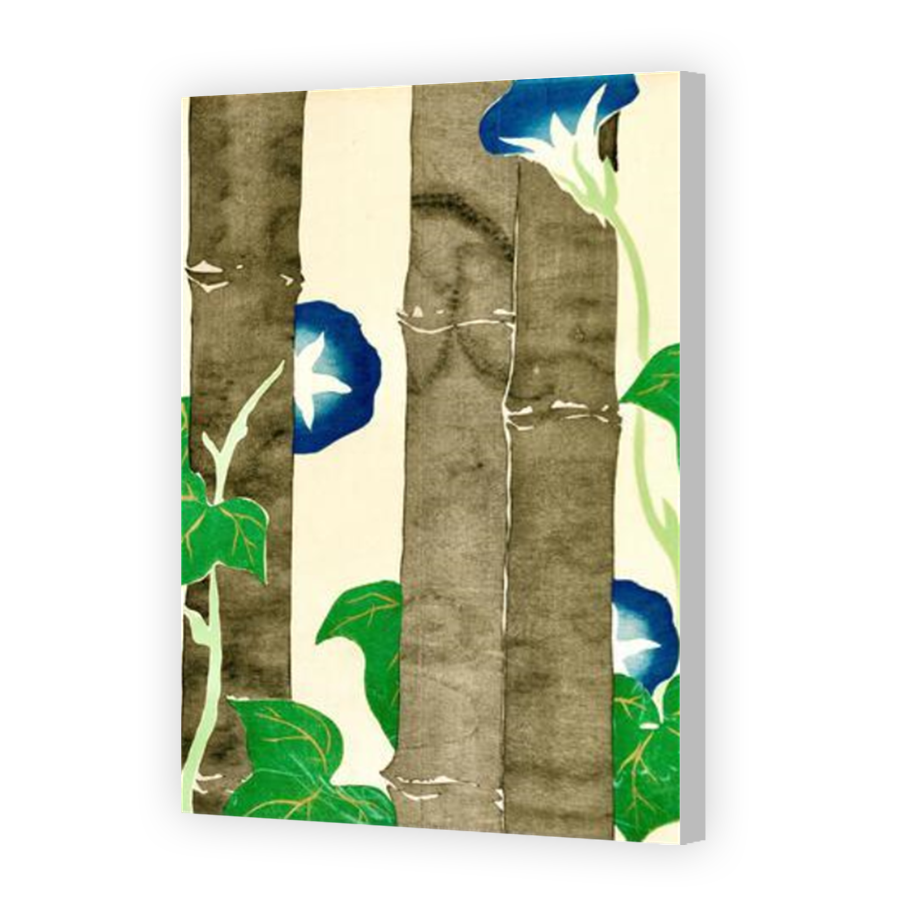 Thumbnail for Canvas - Coloured Canvas Wrap