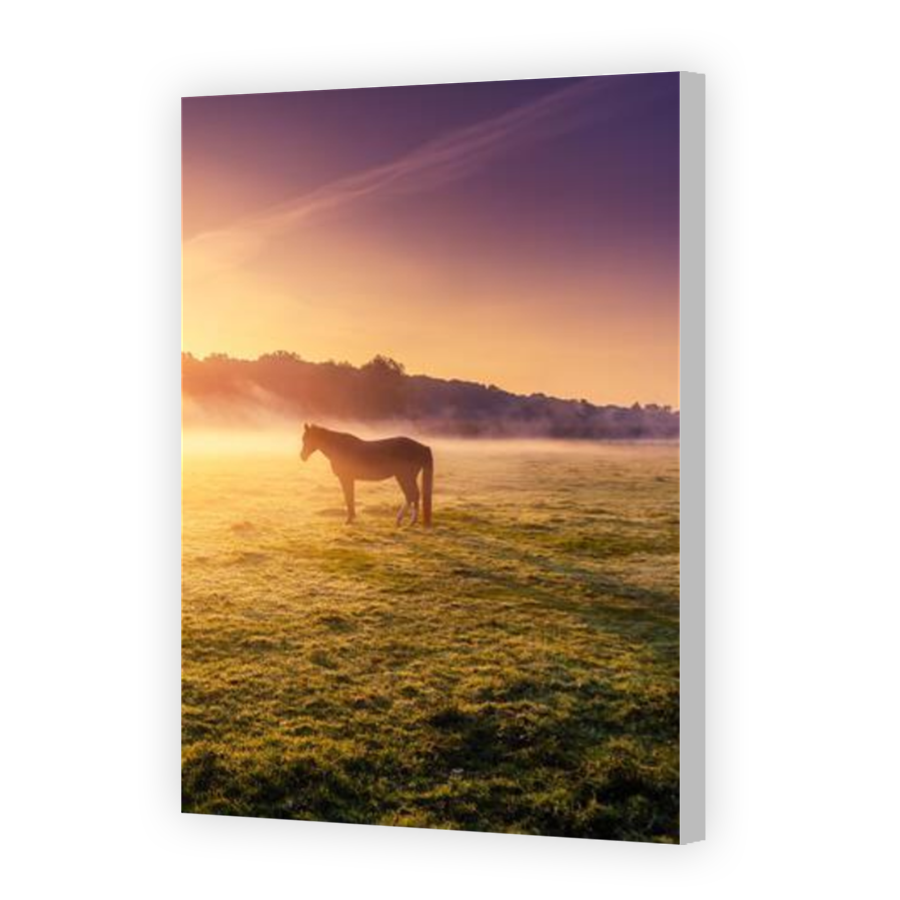 Thumbnail for Canvas - Coloured Canvas Wrap