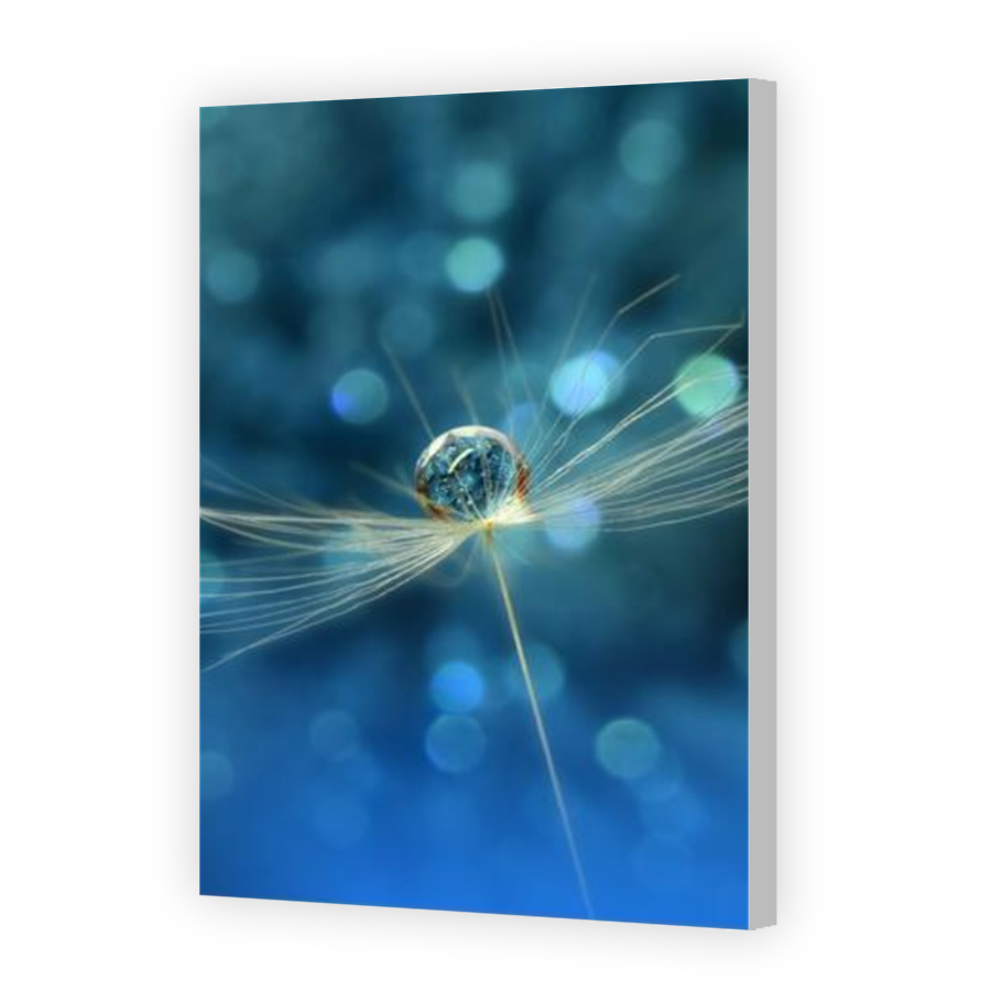 Thumbnail for Canvas - Coloured Canvas Wrap