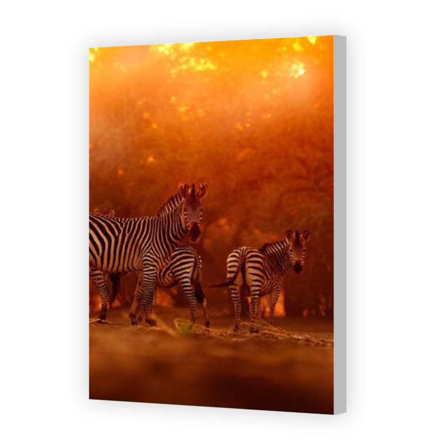 Thumbnail for Canvas - Coloured Canvas Wrap