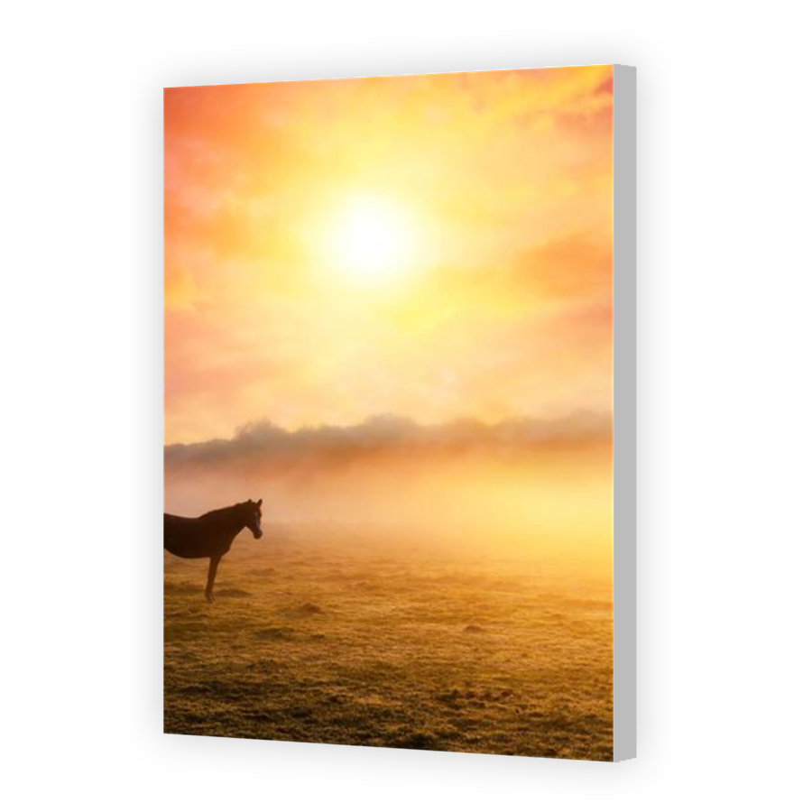 Thumbnail for Canvas - Coloured Canvas Wrap
