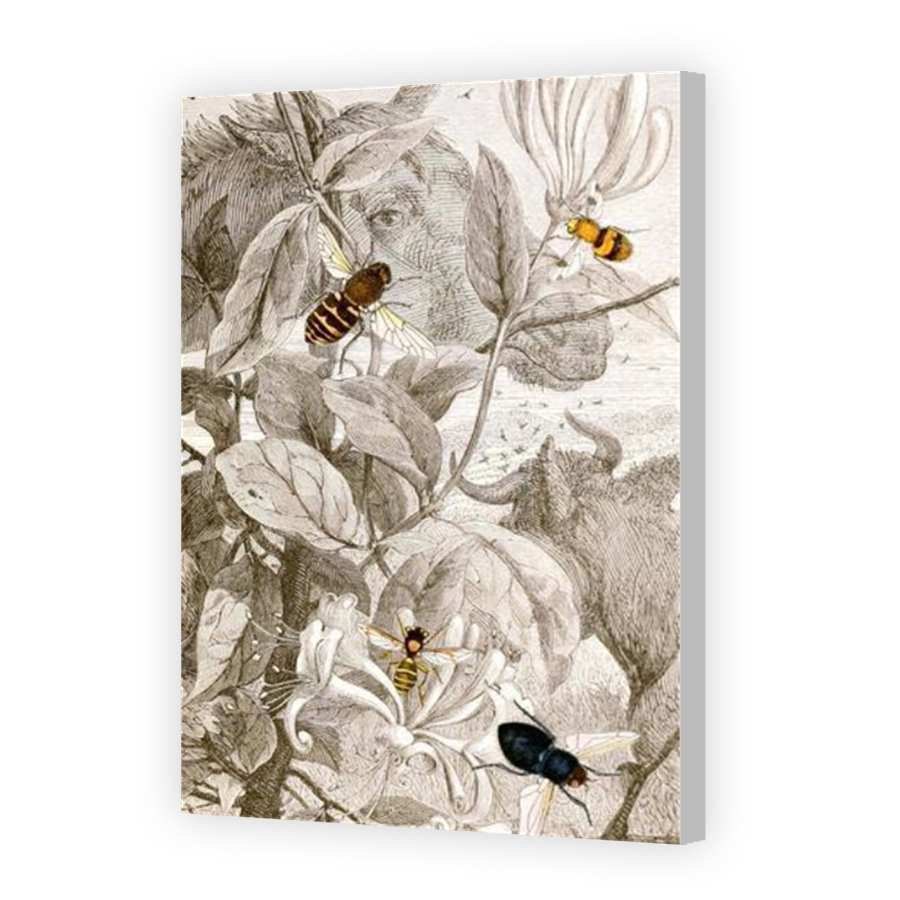 Thumbnail for Canvas - Coloured Canvas Wrap