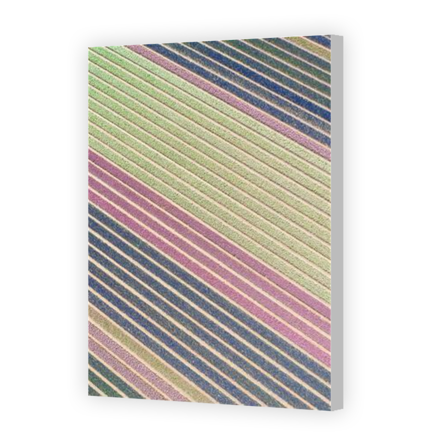 Thumbnail for Canvas - Coloured Canvas Wrap