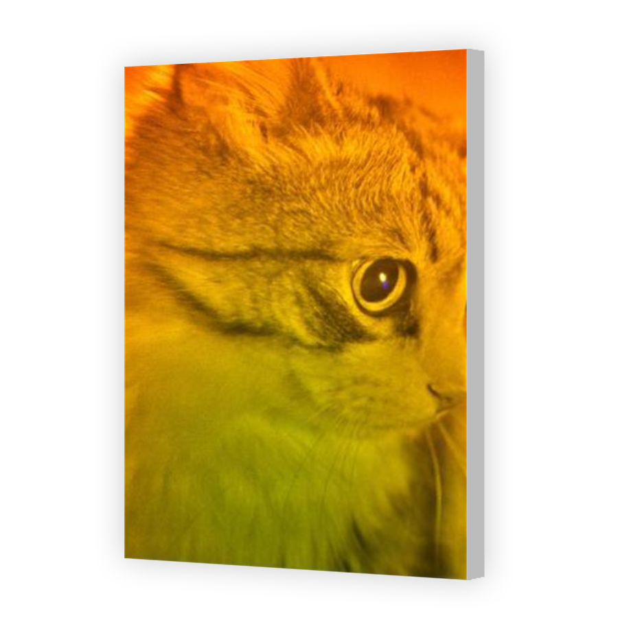 Thumbnail for Canvas - Coloured Canvas Wrap