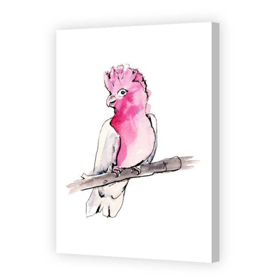 Thumbnail for Canvas - Coloured Canvas Wrap