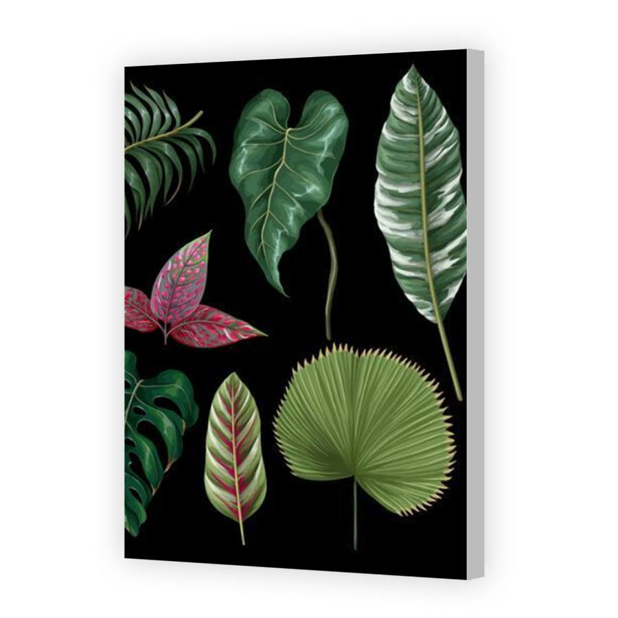 Thumbnail for Canvas - Coloured Canvas Wrap