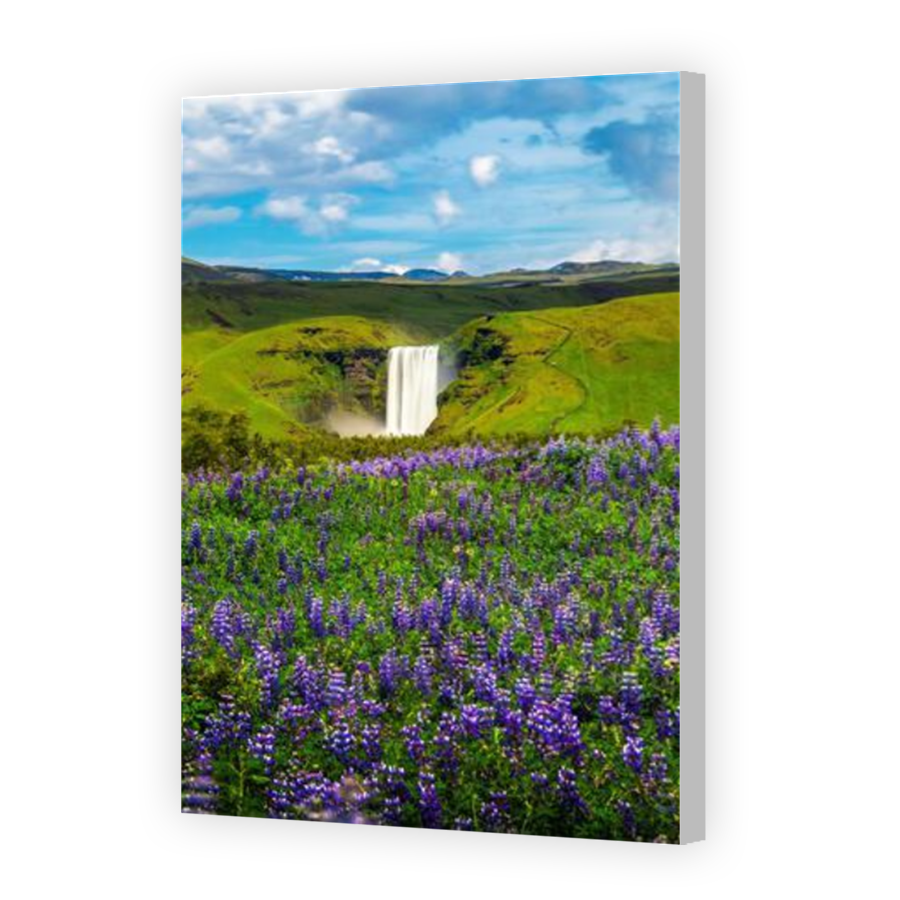 Thumbnail for Canvas - Coloured Canvas Wrap
