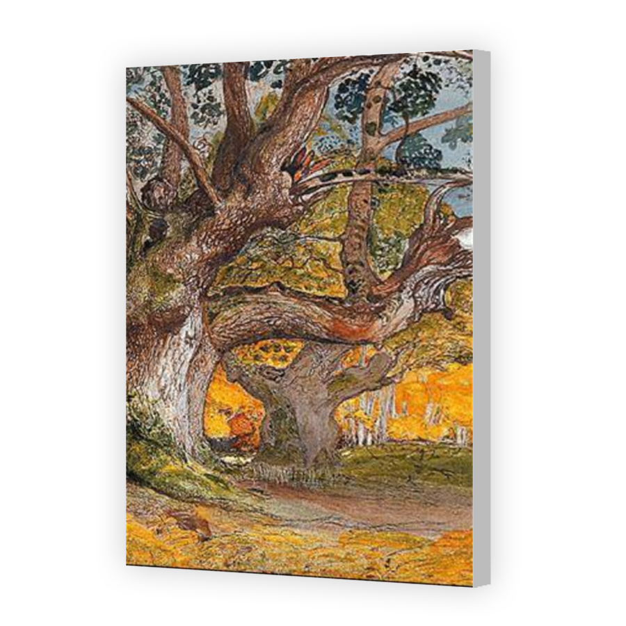 Thumbnail for Canvas - Coloured Canvas Wrap