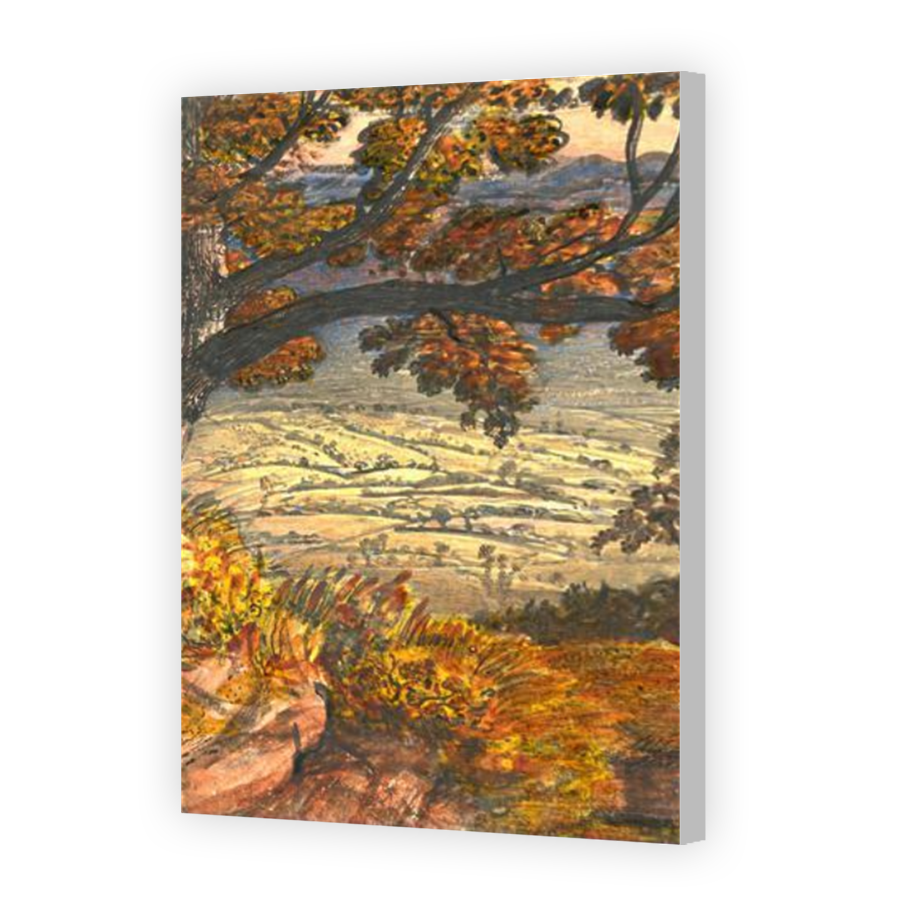Thumbnail for Canvas - Coloured Canvas Wrap