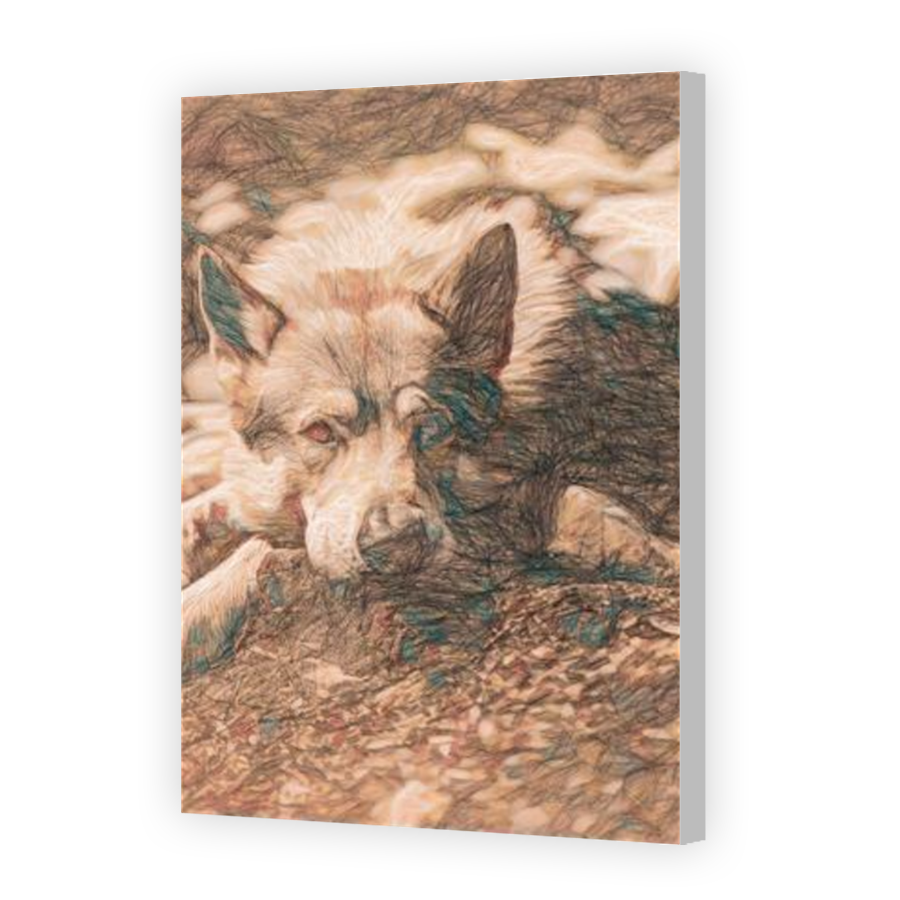 Thumbnail for Canvas - Coloured Canvas Wrap