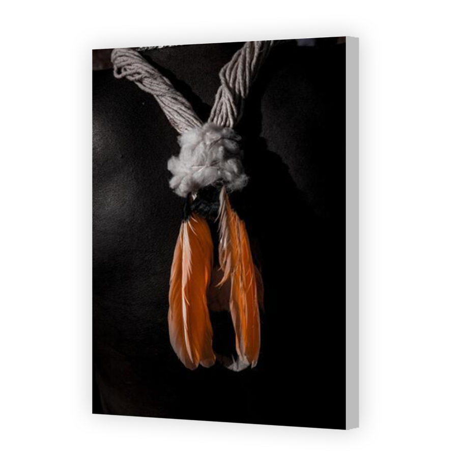 Thumbnail for Canvas - Coloured Canvas Wrap