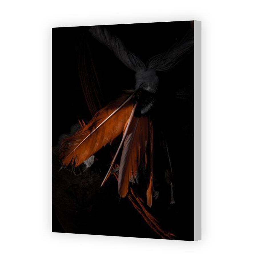 Thumbnail for Canvas - Coloured Canvas Wrap