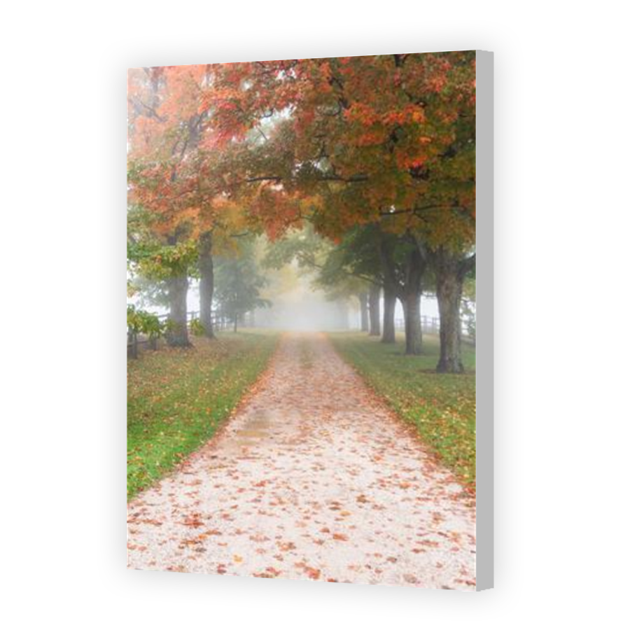 Thumbnail for Canvas - Coloured Canvas Wrap