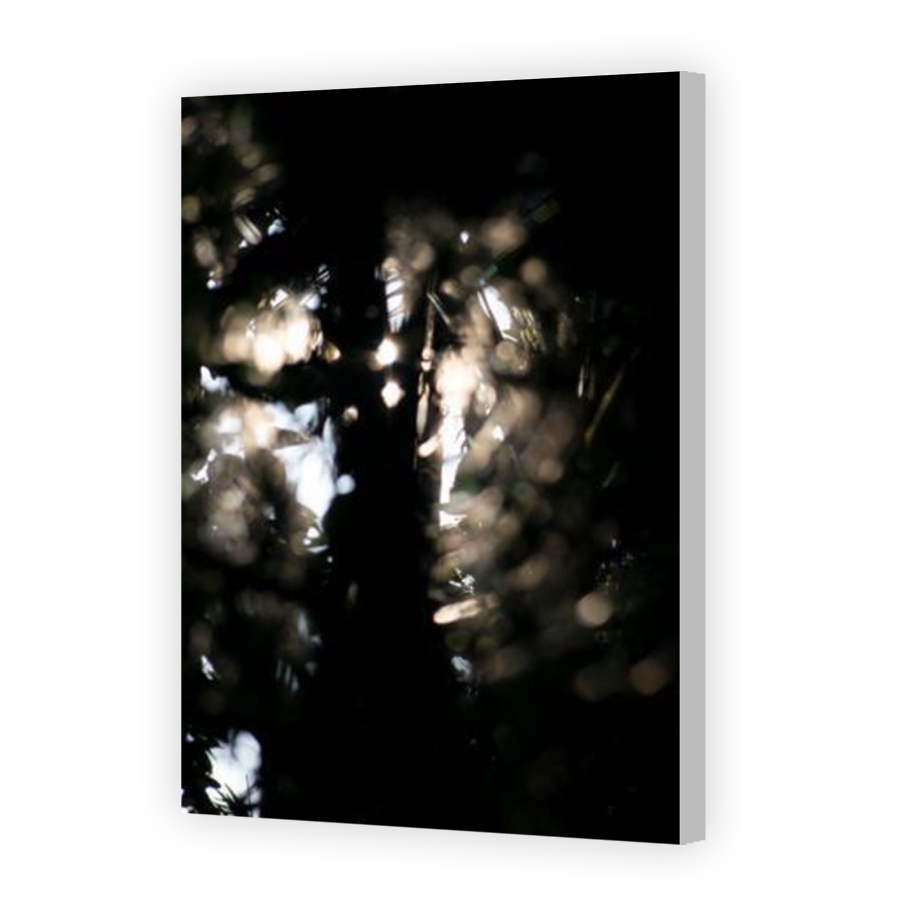 Thumbnail for Canvas - Coloured Canvas Wrap