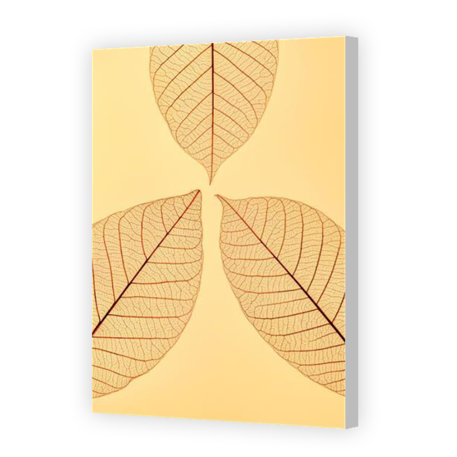 Thumbnail for Canvas - Coloured Canvas Wrap