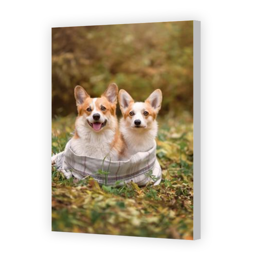 Thumbnail for Canvas - Coloured Canvas Wrap