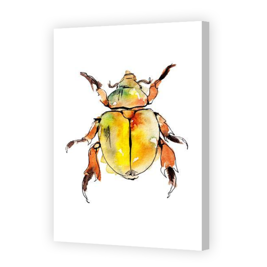 Thumbnail for Canvas - Coloured Canvas Wrap