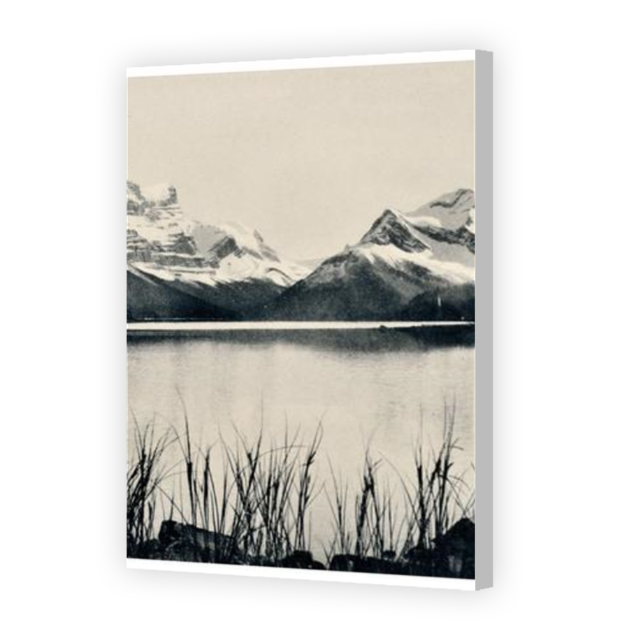 Thumbnail for Canvas - Coloured Canvas Wrap