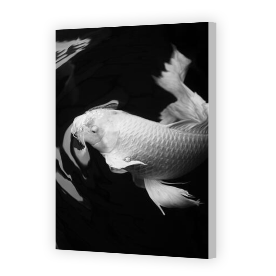 Thumbnail for Canvas - Coloured Canvas Wrap