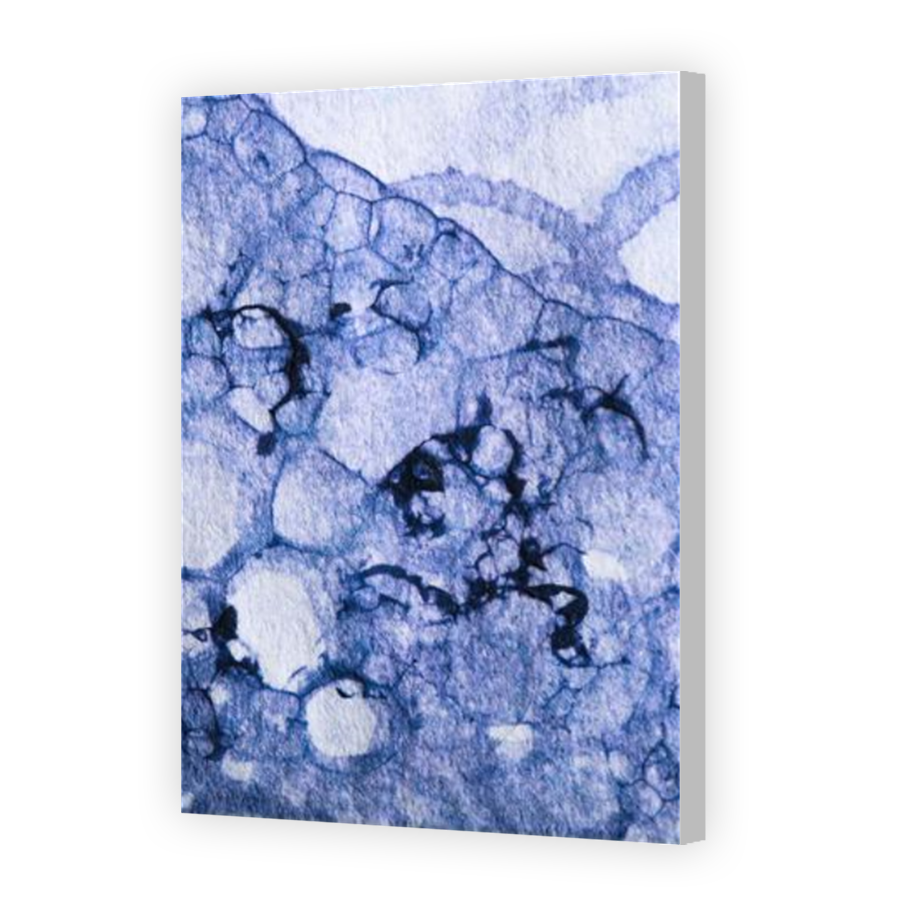 Thumbnail for Canvas - Coloured Canvas Wrap