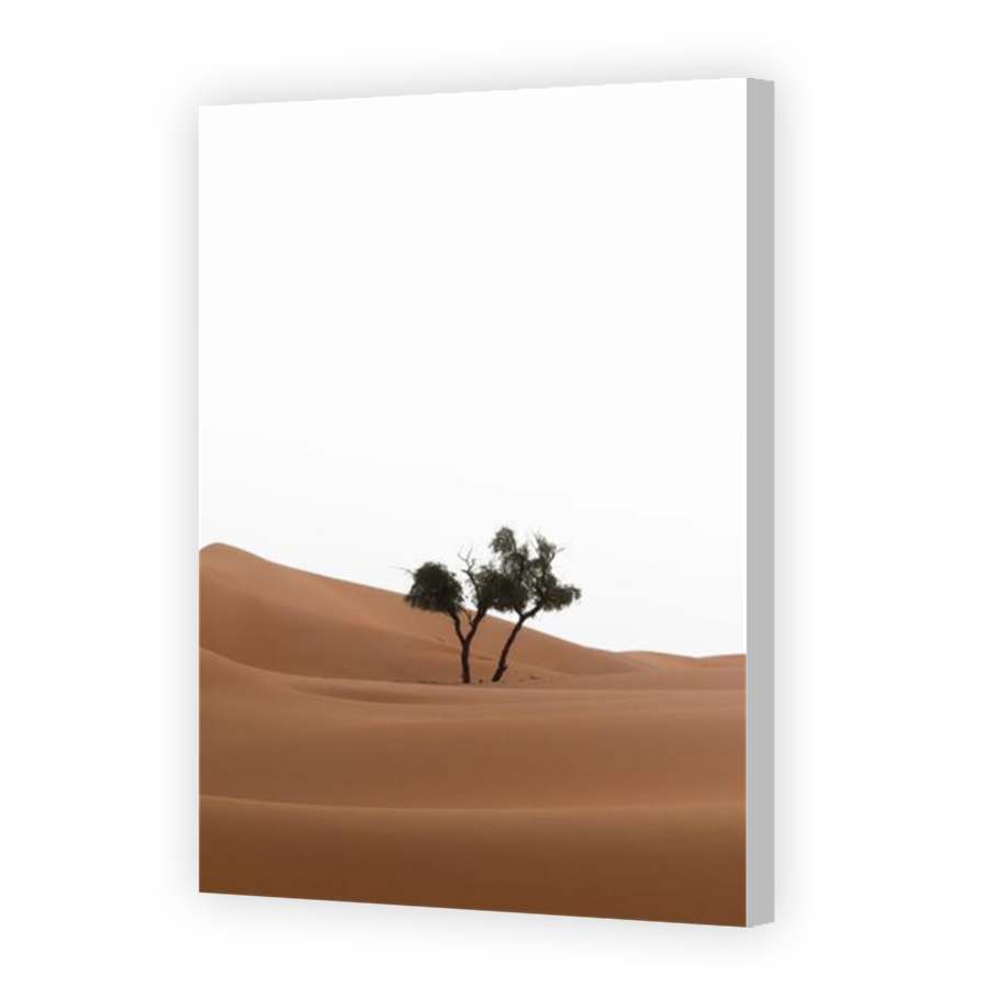 Thumbnail for Canvas - Coloured Canvas Wrap