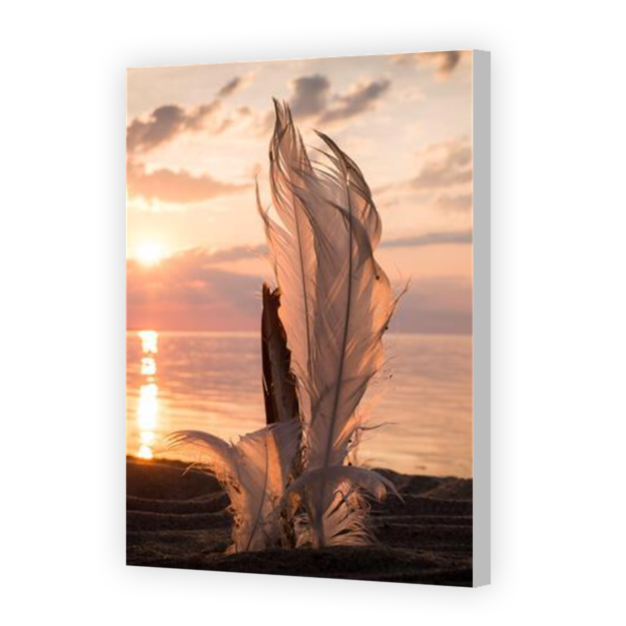 Thumbnail for Canvas - Coloured Canvas Wrap