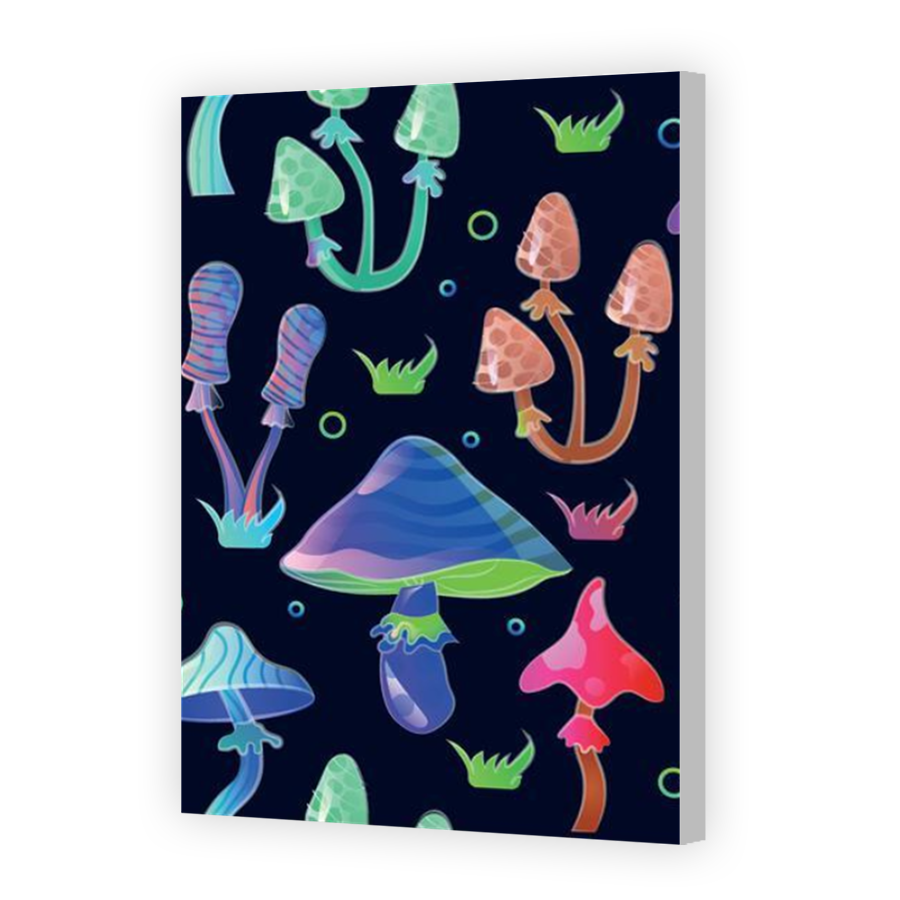 Thumbnail for Canvas - Coloured Canvas Wrap