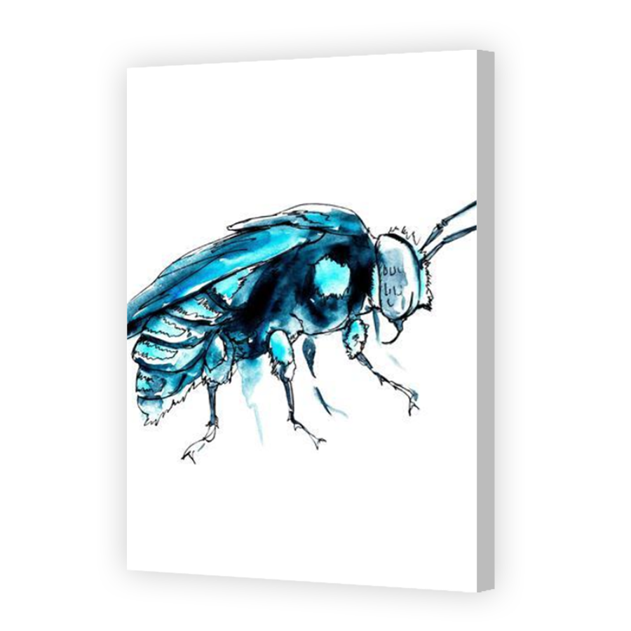 Thumbnail for Canvas - Coloured Canvas Wrap