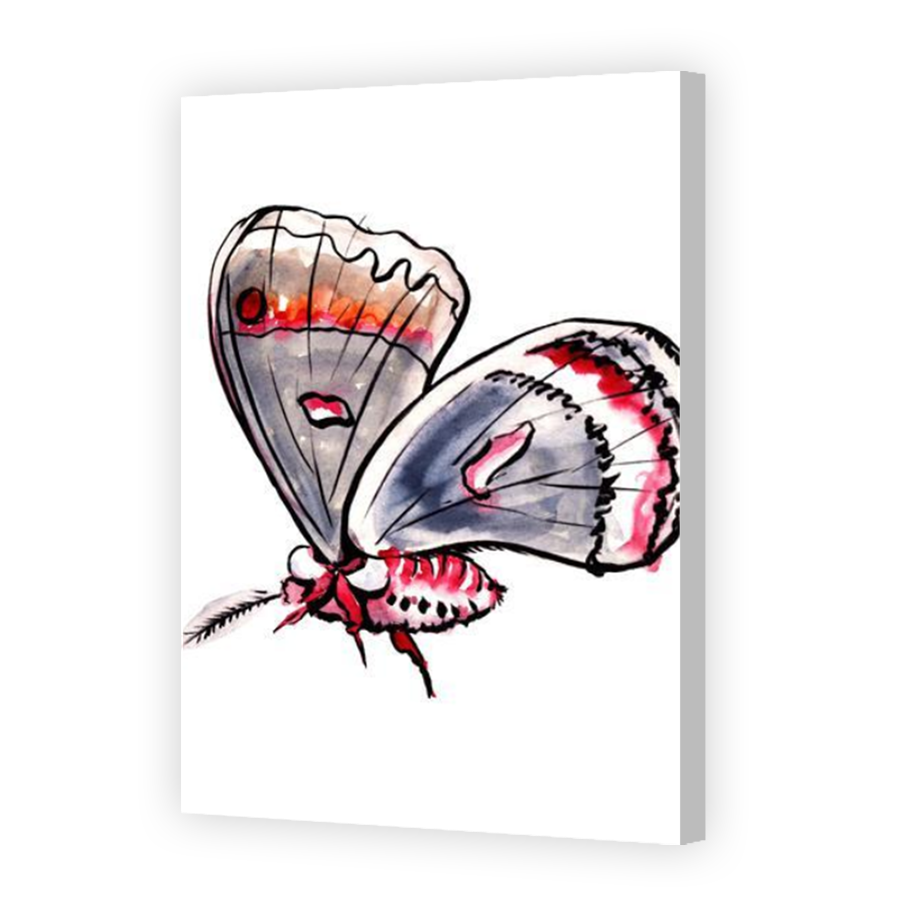 Thumbnail for Canvas - Coloured Canvas Wrap