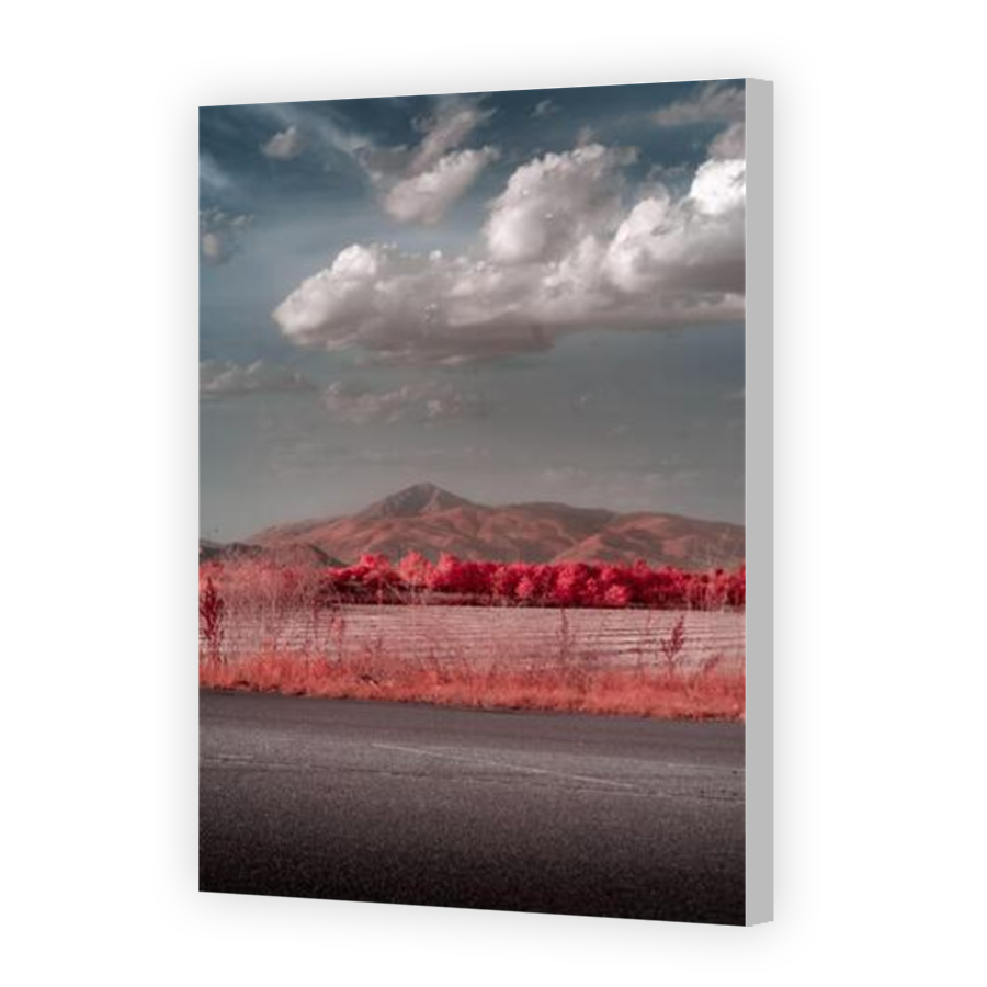 Thumbnail for Canvas - Coloured Canvas Wrap