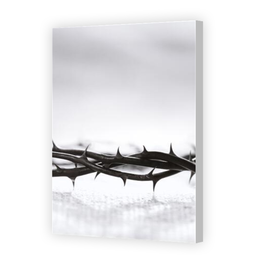 Thumbnail for Canvas - Coloured Canvas Wrap